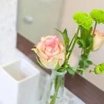 Villa Granitz Moewennest 公寓 *