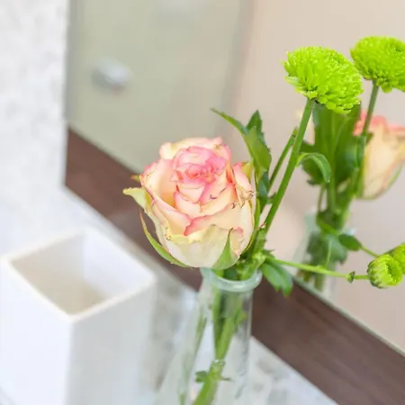 דירה Villa Granitz, Ostseebad Sellin, Insel Ruegen, Gemuetliche 38 Quadratmeter Gross, Bietet Die Lieblingsplatz In Der Villa Granitz Zwei Personen Alle Annehmlichkeiten Fuer Unbeschwerte Urlaubstage Sellin (Rugen)